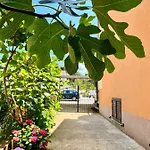 Apartament Spacious With Free Parking And Garden In Calm Area Zadar