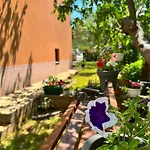 Spacious With Free Parking And Garden In Calm Area 扎达尔
