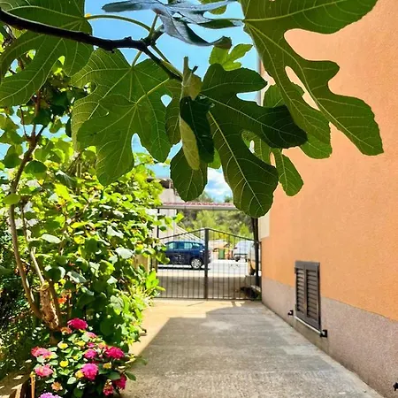 Апартаменты Spacious With Free Parking And Garden In Calm Area Задар