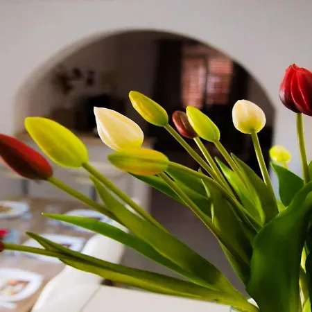 Spacious With Free Parking And Garden In Calm Area Апартаменты Задар